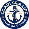 Egadi-sea-life-escursioni-gommone